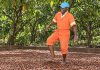 Trinidad Cocoa Farmers Once Danced On Beans To Polish Them For Better Prices