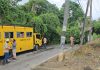 Fallen Tree Blocks Santa Cruz Road, Causes Traffic Disruption And Power Outage