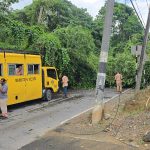 Fallen Tree Blocks Santa Cruz Road, Causes Traffic Disruption And Power Outage