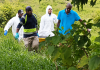 Teen Tristan Stephen Found Shot Dead on Guaico Cow Farm