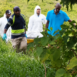 Teen Tristan Stephen Found Shot Dead on Guaico Cow Farm