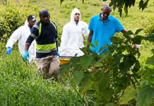 Teen Tristan Stephen Found Shot Dead on Guaico Cow Farm