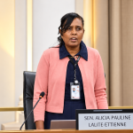 Visually Impaired Senator Raises Concerns Over AI-Generated Budget Documents