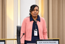 Visually Impaired Senator Raises Concerns Over AI-Generated Budget Documents