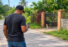 Facebook Dog Purchase Meeting Ends in Reported Carlsen Field Robbery