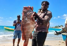 Fisherman Survives 40 Days Adrift Before Rescue In Mexican Waters