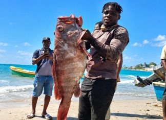 Fisherman Survives 40 Days Adrift Before Rescue In Mexican Waters