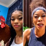 Matara French Demands Chicken Back After Alleged Yard Theft Incident