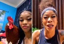 Matara French Demands Chicken Back After Alleged Yard Theft Incident