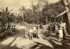 Before Household Taps, Jamaica’s Rivers Connected Communities Through Work and Ritual
