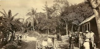 Before Household Taps, Jamaica’s Rivers Connected Communities Through Work and Ritual