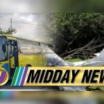 Two passengers die after bus and car collide on St Mary road