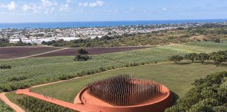 Newton Burial Ground Preserves Hundreds Of Lives From Barbados’ Enslaved Plantation Past