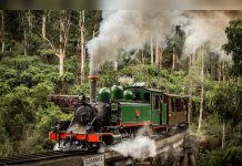Puffing Billy’s long survival reveals the difference between preservation and working service