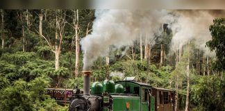 Puffing Billy’s long survival reveals the difference between preservation and working service