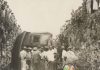 The 1957 Kendal Train Crash That Changed Jamaica’s Railway Safety Forever