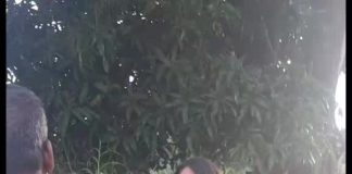 Britney Maharaj, 13, Found Safe in Forest After 26 Days Missing