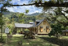 Lopinot’s Cocoa Estate History Reveals the Layered Origins of a Trinidad Village