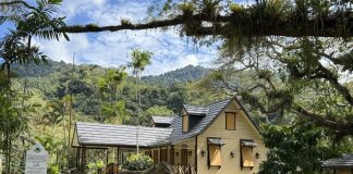 Lopinot’s Cocoa Estate History Reveals the Layered Origins of a Trinidad Village