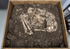 Banwari Woman Reveals a Human Story Buried in Trinidad for Thousands of Years
