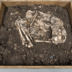 Banwari Woman Reveals a Human Story Buried in Trinidad for Thousands of Years