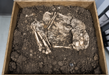 Banwari Woman Reveals a Human Story Buried in Trinidad for Thousands of Years