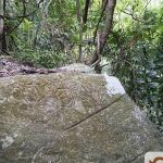 Trinidad’s Caurita Stone Preserves the Island’s Only Confirmed Pre-Columbian Petroglyph