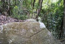 Trinidad’s Caurita Stone Preserves the Island’s Only Confirmed Pre-Columbian Petroglyph