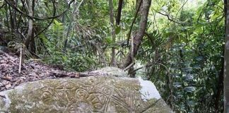 Trinidad’s Caurita Stone Preserves the Island’s Only Confirmed Pre-Columbian Petroglyph