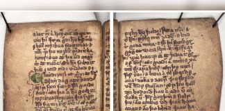 The Icelandic Archive Project That Deciphers Old Documents’ Abbreviations and Symbols