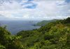 How Tobago Protected Main Ridge Forest in 1776 to Safeguard Rainfall and Farmland