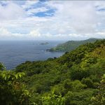 How Tobago Protected Main Ridge Forest in 1776 to Safeguard Rainfall and Farmland