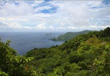 How Tobago Protected Main Ridge Forest in 1776 to Safeguard Rainfall and Farmland