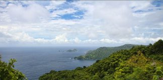 How Tobago Protected Main Ridge Forest in 1776 to Safeguard Rainfall and Farmland