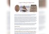 Lapita Pottery and Living Crafts Offer Two Ways Into Samoa’s Cultural History