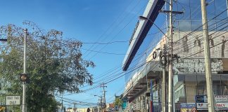 Princes Town Residents and Business Leaders Push for Borough Status and Greater Recognition