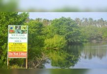 Ibis documentary contributors urge action on plans to protect Trinidad and Tobago’s wetlands