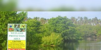 Ibis documentary contributors urge action on plans to protect Trinidad and Tobago’s wetlands