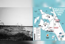 How Pelican Island Helped Launch America’s National Wildlife Refuge System