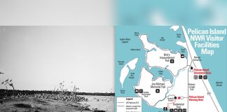 How Pelican Island Helped Launch America’s National Wildlife Refuge System