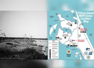 How Pelican Island Helped Launch America’s National Wildlife Refuge System