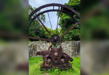The Savannah’s old fountain and cattle trough reveal Port of Spain’s water history