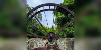 The Savannah’s old fountain and cattle trough reveal Port of Spain’s water history