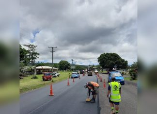Samoa Transport Review Finds Road Access Does Not Guarantee Easy Journeys