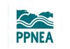 Albania’s First Environmental Group Turns 30: How PPNEA Shaped Nature Conservation