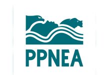 Albania’s First Environmental Group Turns 30: How PPNEA Shaped Nature Conservation