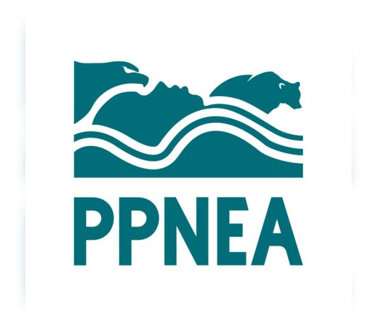 Albania’s First Environmental Group Turns 30: How PPNEA Shaped Nature Conservation