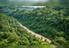 Why Trinidad and Tobago’s protected areas matter beyond the wildlife they shelter