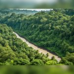 Why Trinidad and Tobago’s protected areas matter beyond the wildlife they shelter