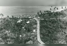 A Forgotten Photograph Reveals Tobago’s Hurricane Flora Devastation